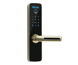 KHÓA CỬA VÂN TAY PHGLOCK  FP7153 ( VÀNG )