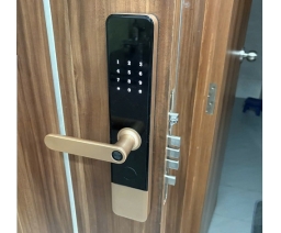 KHÓA CỬA VÂN TAY 5 CHỨC NĂNG TTLX1-H